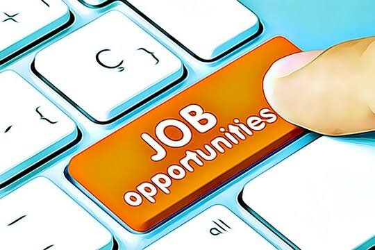 Finance Ministry Recruitment 2022: वित्त मंत्रालय में नौकरी पाने का अच्छा मौका.... 590 पदों पर भर्ती.... बिना एग्जाम होगा चयन.... आवेदन करने के बचे हैं चंद दिन.... देखिए डिटेल.......