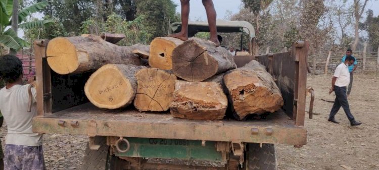 CG- वन विभाग की बड़ी कार्रवाई: तीन फर्निचर मार्ट हुए सील.... 10 लाख रूपए से अधिक मूल्य के सागौन लट्ठा तथा चिरान जप्त....