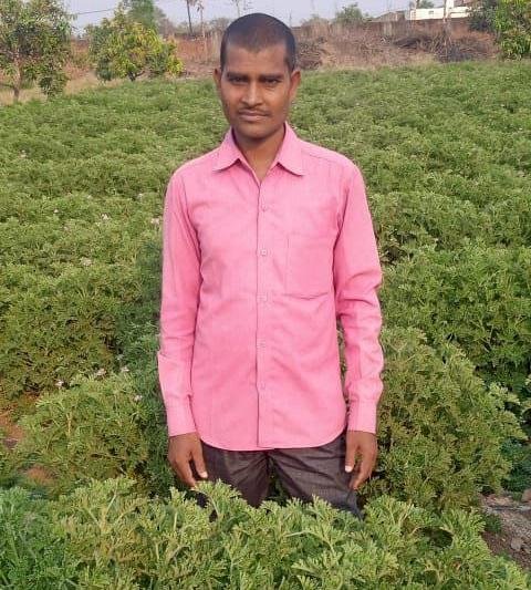 CG BEMETARA:प्रदेश में पहली बार जिरेनियम की खेती सौ एकड़ में करेंगे...बेमेतरा जिले के नवागढ़ मुख्यालय के युवा किसान किशोर राजपूत...खेती किसानी के कार्यों को यदि किसान व्यवसायिक नजरिये से करेगा तो इससे अच्छा लाभ कमाया जा सकता है