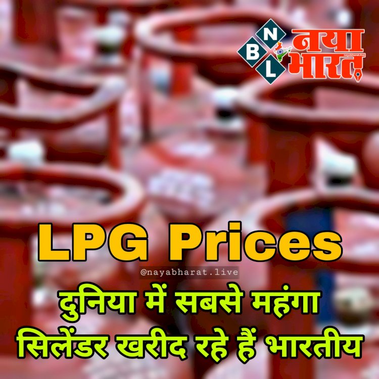 LPG Cylinder Price: LPG भारत में सबसे महंगी.... दुनिया में सबसे 'महंगा' सिलेंडर खरीद रहे हैं भारतीय.... पेट्रोल-डीजल के मामले में इस पायदान पर देश.... कमाई का बड़ा हिस्सा होता है खर्च....