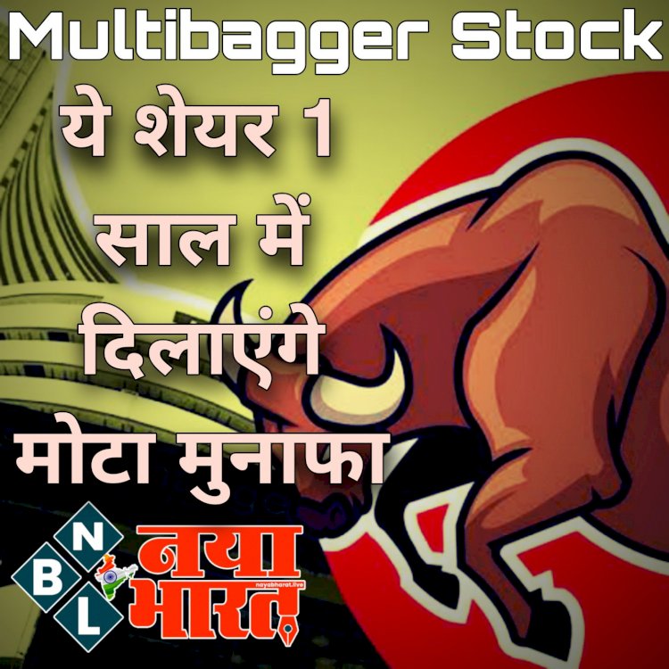 Multibagger Stock, Stocks to Buy: इन शेयरों ने दिखाई शानदार तेजी.... दमदार रिटर्न.... ये 5 शेयर 1 साल में दिलाएंगे मोटा मुनाफा.... कमाई होगी शानदार.... देखें.....