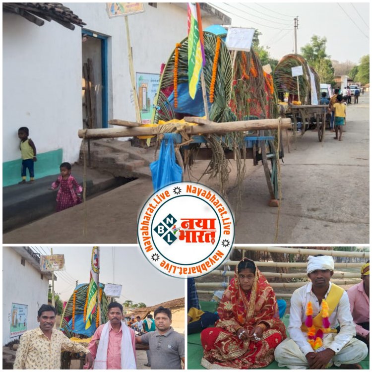CG में अनोखी शादी- जब बैलगाड़ी से निकली रुपेश की बारात...बैलगाड़ी ऐसे सजी जहाँ फिकी रही आधुनिक कारें...देखने जुट गई लोगों की भीड़...देखिए वीडियो