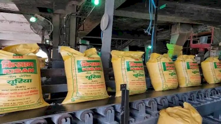 देश के 14 करोड़ किसानों को राहत देने के लिए केंद्र सरकार ने फर्टिलाइजर सब्सिडी (Fertilizer Subsidy) बढ़ाने का फैसला लिया.