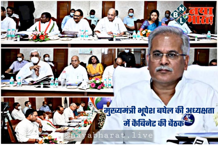 Chhattisgarh Cabinet Big Decisions: डिटेल में कैबिनेट के 34 बड़े फैसले.... भूपेश कैबिनेट की बैठक में लिये गये 34 बड़े फैसले.... पंचायत में भर्ती, कर्मचारियों का प्रमोशन, टूरिज्म के होटलों के बियर बार की अनुमति.... देखिये महत्वपूर्ण फैसले….