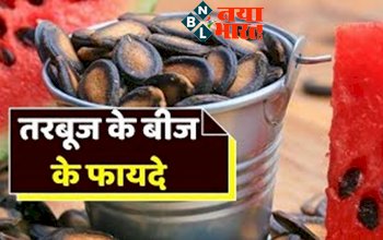 Watermelon Seeds Benefits: तरबूज के बीज को फेकने से पहले जान ले ये 3 फायदे.