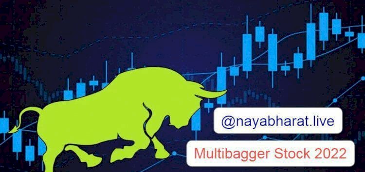Best Multibagger Stock: 15 दिन में पैसा डबल.... 101 फीसदी का रिटर्न.... इस कंपनी के शेयर का कमाल.... इन्वेस्टर्स को बनाया मालामाल.... जानिए कितना चढ़ा भाव.....