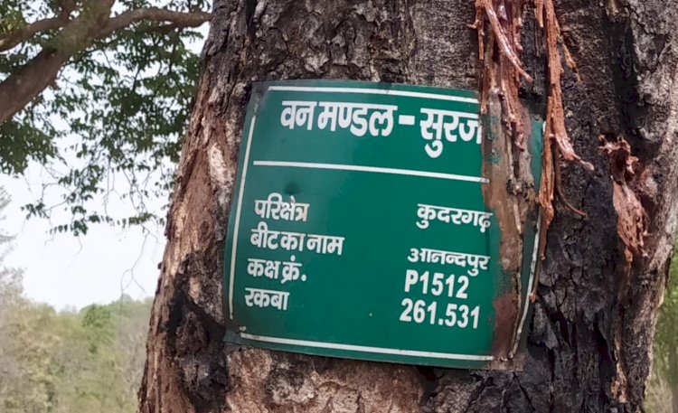 कुदरगढ़ वनपरिक्षेत्र के अन्तर्गत आनंदपुर वन बीट में रेंजर के द्वारा किया जा रहा है मनमानी..
मजदूर परेसान नहीं मिल रहा काम...