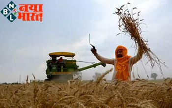 Inflation in India: आटा-दाल-चावल-तेल-नमक...जानें 10 साल में किसकी कितनी बढ़ी कीमत?