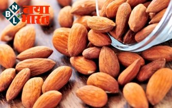 Almonds Health Benefits: बादाम सूखे खाने चाहिए या भिगोकर? जानिए कौन सा बादाम सेहत के लिए अधिक फायदेमंद….