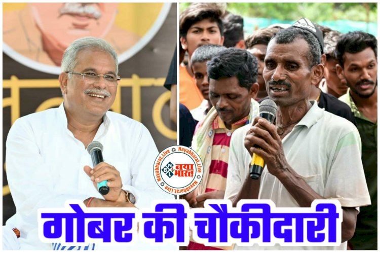 CG में गोबर की चौकीदारी VIDEO: टॉर्च जलाकर गोबर की रखवाली.... रातभर दो शिफ्ट में निगरानी रखते हैं पति-पत्नी.... CM के सामने बयां किया पूरा किस्सा.... मुख्यमंत्री बोले ये.... देखें वीडियो.....