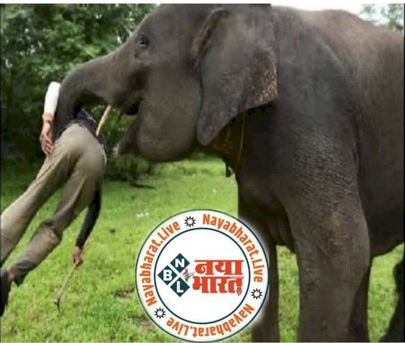 CG गुस्से में गजराज : घर में घुसकर पिता-पुत्री को कुचल कर मारा…पिता-पुत्री की मौत से इलाक़े में मचा हड़कंप…ग्रामीणों में दहशत का माहौल...9 घंटे बाद पहुंचा वन अमला, ग्रामीणों ने किया पथराव…