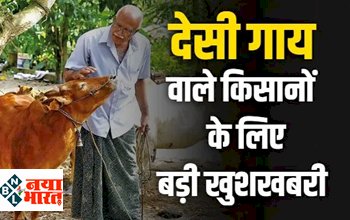 Desi Cow Farming: खुशखबरी ! देसी नस्ल की गायों वाले किसानों को मिलेगा बढ़ावा, मिलेगा बड़ा लाभ.