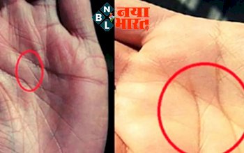 Palmistry: 40 की उम्र के बाद तेजी से तरक्की करते हैं ये लोग, हाथ का एक निशान चमकाता है भाग्य!