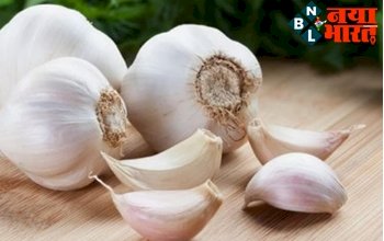 Benefits of Garlic: लहसुन खाने के 8 महत्वपूर्ण फायदे, शरीर को रखता है कई रोगों को दूर.