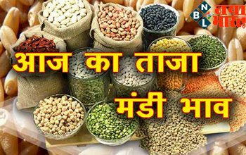 Wheat Prices: गेहूं के दाम में आ सकता है 300 रुपये उछाल; क्या ब्रेड, बिस्किट की कीमतों पर भी पड़ेगा असर?
