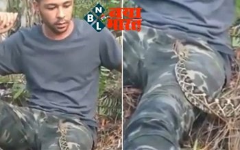 snake sitting on lap : …जब अचानक शख्स की गोद में आकर बैठा गया खतरनाक सांप…फिर जो हुआ…देखें विडियो युवक ने कैसे बचाई खुद की जान...