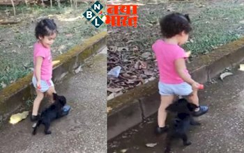 Baby and Cute Puppy: बच्ची से 'लॉलीपॉप' छीनने के लिए पपी ने लगाया ऐसा जुगाड़, क्यूट वीडियो देख हंसी नहीं रोक पाएंगे आप...