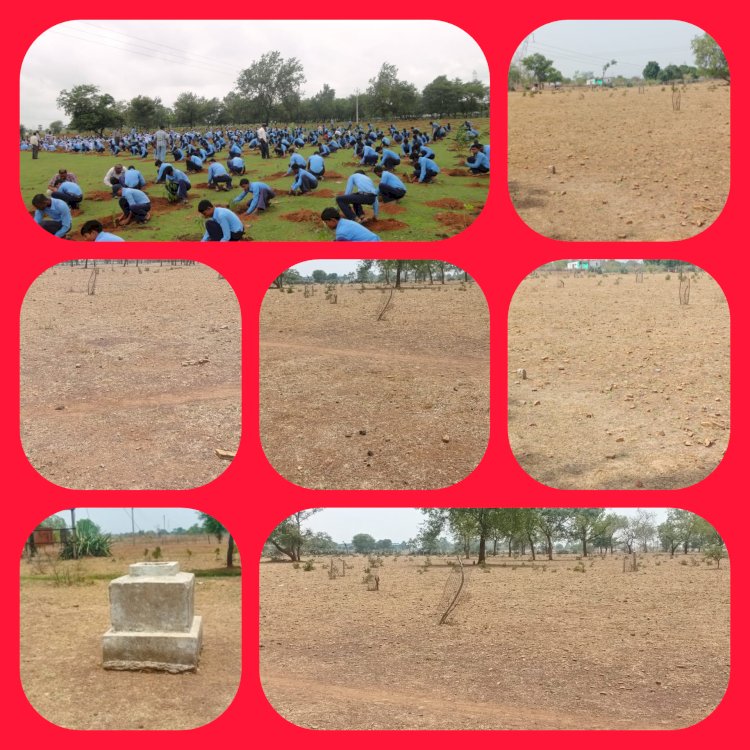 CG BEMETARA:विडंबना : केवल फोटोशूट तक सिमटा पौधरोपण रोपे गए पौधों की सेहत देखने झांका तक नहीं..22 अगस्त 2013 को ग्राम बारगांव व सरदा में लाखों रुपए खर्च कर तत्कालीन कलेक्टर ने करवाया था पौधरोपण आज यहां पर दिख रहा खाली मैदान...2013 में ग्राम हतपान में भी आठ लाख रुपए खर्च कर किया गया था पौधरोपण । आज वहां पर भी पेड़ नजर नहीं आ रहे सिर्फ बोर्ड बचा है