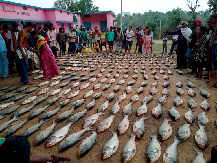 ग्राम बंधा के मुड़ा से मछली आखेट करते हुए लगभग 10 कुंटल मछली को देखने लोगों का हुजूम उमड़ा।