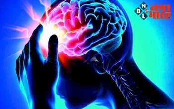 Unhealthy Food Affects Brain : अगर अच्छी याद्दाश्त और तेज दिमाग चाहते हैं तो भूलकर भी न खाएं ये 5 चीजें...