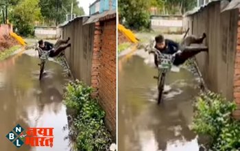 Jugaad Video: देसी स्पाइडर मैन के वीडियो ने इंटरनेट पर मचाया तहलका, देखिए कैसे इस साइकिल सवार ने पार किया खतरनाक रास्ता...