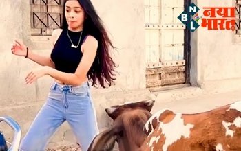 Ladki Ka Video: सांड के सामने रील बनाने लगी लड़की, तभी जो कुछ हुआ उसे देख हंसी नहीं रोक पाएंगे आप, विडियो देखे...