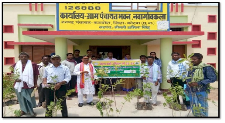 पोषण बाडी अभियान किसानों को अमरूद, सीताफल, पपीता आदि पौधों का किया जा रहा वितरण....