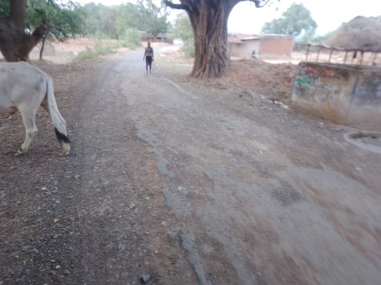 प्रधान मंत्री ग्राम सड़क योजना के तहत बनाई गई सड़क मरम्मत के अभाव में हो गई जर्जर।