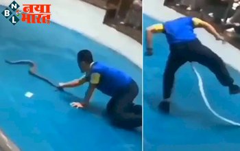 snake bite mistake: शख्स ने किया किंग कोबरा को छेड़ने की गलती , फिर जो हुआ ....