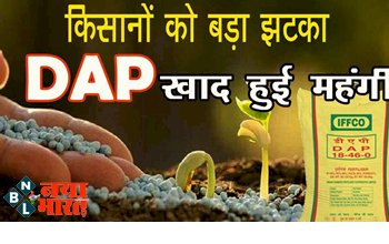 DAP Fertilizer Price: डीएपी खाद के दामों में हुई बढ़ोतरी, जानिए क्या है नई कीमत?