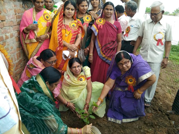 तहसील साहू समाज नगरी के युवा प्रकोष्ठ ने किया साहुसदन नगरी में वृक्षारोपण