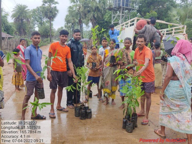 पौधा तुवर द्वार के तहत ग्रामीणों को वितरण किए गए निशुल्क पौधे.. मिसमा और दुब्बाटोटा के ग्रामीणों को 1250 पौधे मिले