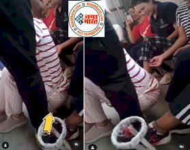 Viral Video: लड़की की बेवकूफी देख रोक नहीं पाएंगे अपनी हंसी, गमला रखने की जगह गई बैठ...फिर जो हुआ....