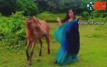 Social Media Viral Video : घोड़े के साथ रील्स बनाना इस लड़की को पड़ा भारी, लड़की का डांस देख घोड़े का बदल गया मुड...