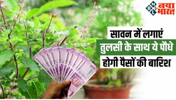 Vastu Tips For Tulsi: सावन में लगाएं तुलसी के साथ ये पवित्र पौधों को लगाएं, होगी पैसों की बारिश...बरसेगी भगवान शिव की कृपा !