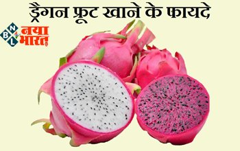 Dragon Fruit Benefit: इस Fruit को खाने से मिलते हैं कई गजब के फायदे, खेती करके आप भी कमा सकते हैं लाखों रुपये...
