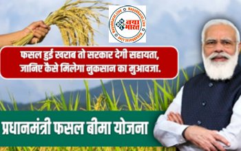 PM Fasal Bima Yojana: फसल हुआ खराब तो सरकार देगी सहायता, जानिए कैसे मिलेगा नुक्सान का मुआवजा 31 जुलाई तक है अंतिम मौका...