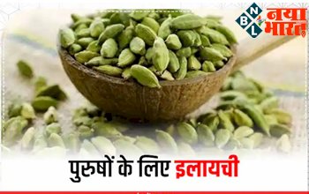 Elaichi Benefits For Mens: पुरुषों के लिए इलायची वरदान से कम नहीं है , केवल इस तरह करें इसका उपयोग, फिर देखें फायदा...