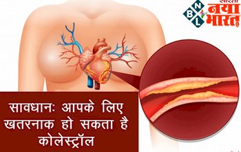 High Cholesterol Signs: सावधान: आपके लिए खतरनाक हो सकता है कोलेस्ट्रॉल, ये 6 वार्निंग साइन हो तो जान ले की कोलेस्ट्रॉल से ब्लॉक हो गई हैं आपकी नसें...