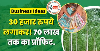 Farming Business Ideas: बेकार जमीन पर 30 हजार रुपये लगाकर शुरू करे इस पौधे की खेती और बने कलखपति, होगा 70 लाख तक का प्रॉफिट...