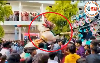 Viral Video: घोड़ी के सामने झूम-झूमकर डांस कर रहे थे बाराती, तभी भड़क गई घोड़ी, आगे जो हुआ सोच भी नहीं सकते- देखें वीडियो...