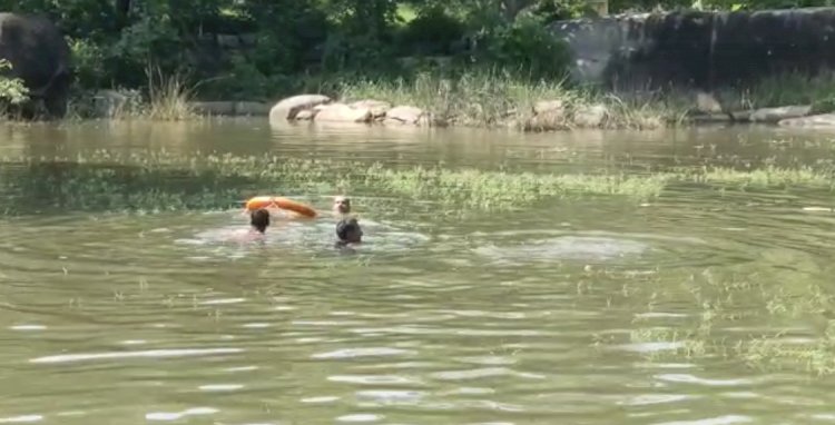 CG तालाब में कूदी महिला : एक दिन पहले लापता हुईं माँ -बेटे का मिला शव... अपने मासूम बच्चे के साथ महिला ने तालाब में कूदकर दे दी जान... परिजनों का रो-रोकर बुरा हाल....