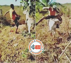 Viral Video: बेवजह गधे पर शख्स करने लगा अत्याचार, फिर जानवर ने भी किया कुछ ऐसा कि नही भूल पायेगा जिन्दगीभर, देखे विडियो...