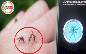 Mosquito Killer Apps: क्या मच्छरों को भगाए जा सकते हैं मोबाइल ऐप्स के जरिये! लोग कर रहे तेजी से इस्तेमाल, जानिए पूरी डिटेल्स...