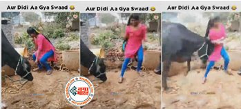 Video: जब भैंस को चारा देकर वही नाचने लगी लड़की, तभी हुआ कुछ ऐसा जिसकी नहीं की होगी किसी ने कल्पना, देखिए वीडियो...