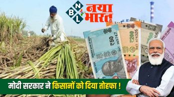FRP for Sugarcane : मोदी सरकार ने किसानों को दिया तोहफा ! अब खाते में आएंगे लागत से दोगुने पैसे, जानिए गन्ने के एक क्विंटल का रेट?