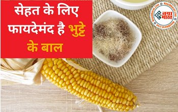 Corn Silk Benefits: सेहत के लिए फायदेमंद है भुट्टे के बाल, समस्याओ को करता है दूर,आप भी जानें और करें उपयोग...