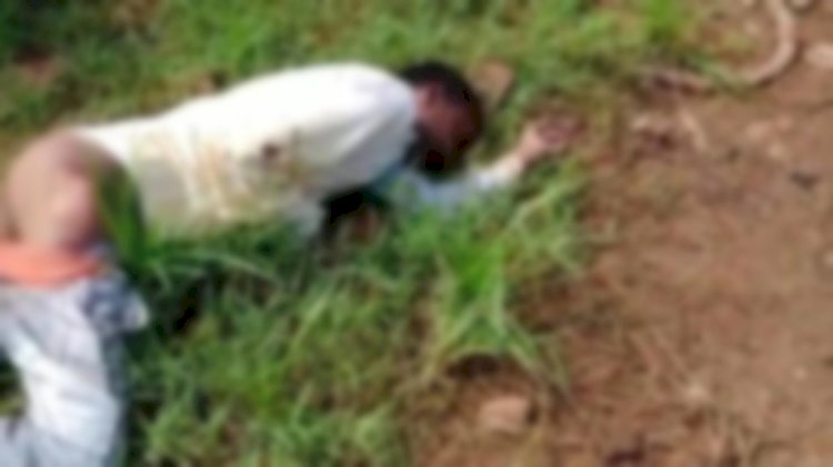 पेड़ पौधों के बीच झाड़ियों में मिली लाश, जांच में जुटी पुलिस।