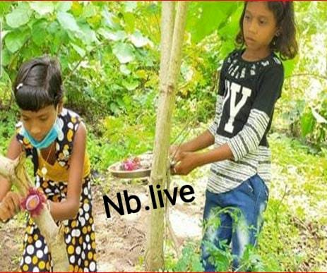 CG:वत्सला टीम ने अपने अंदाज में रक्षाबंधन का त्योहार मनाया.. वत्सला फाऊंडेशन बेमेतरा की अध्यक्ष ज्योति सिंघानिया के नेतृत्व में एक नई पहल..बच्चों से पेड़ों को राखी बांधकर प्रकृति रक्षा करने का लिया संकल्प