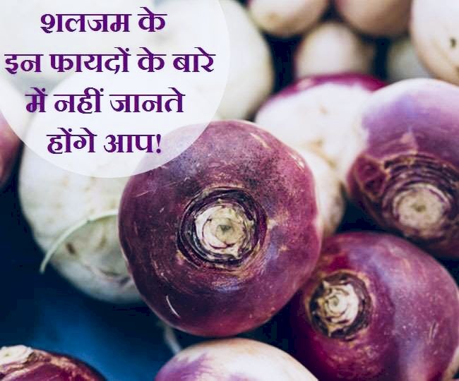 Benefits Of Shalgam: सेहत के लिए विटामिन का ख़ज़ाना है शलजम... सर्दी, खांसी, बुखार से बचाने में है मददगार... विटामिन-सी, विटामिन-के, बीटा कैरोटिन और पोटैशियम का भंडार है शलजम,जानिए इसके बेमिसाल फायदे....